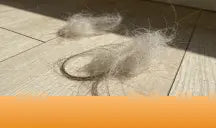 D40_Ultra-Hair